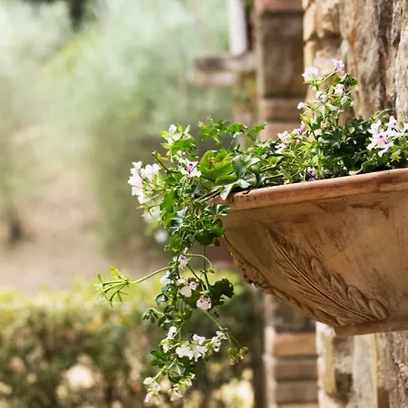 Del Fattore Guest house