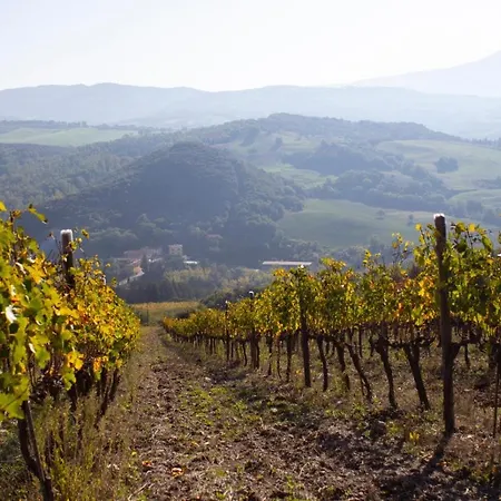 Guest house Del Fattore Montalcino