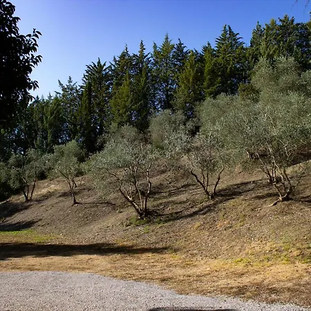 Guest house Del Fattore *