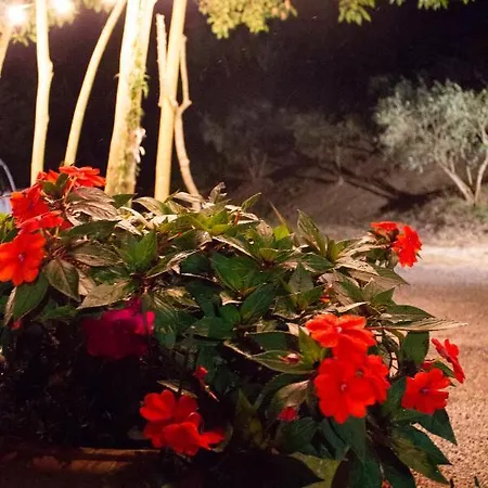 Guest house Del Fattore
